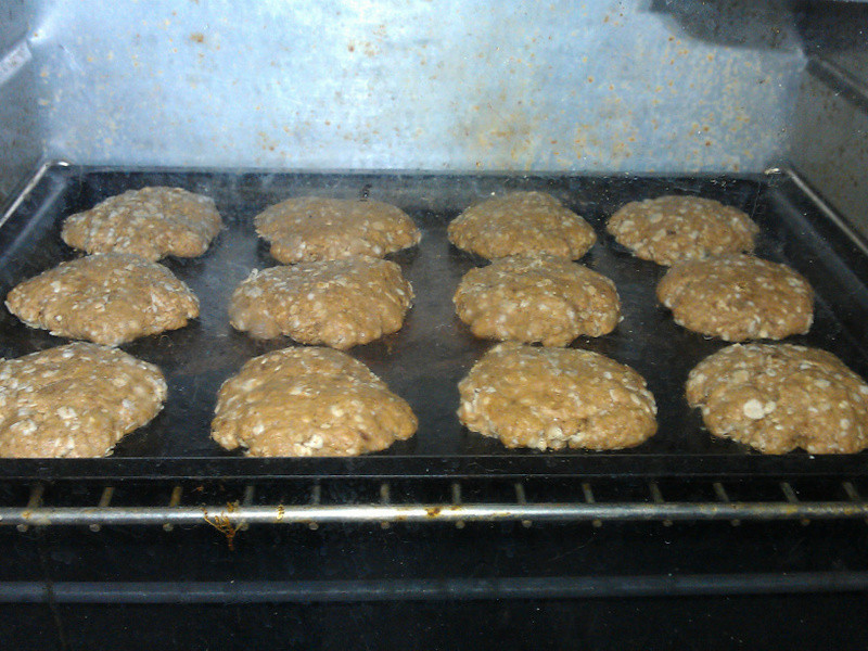 ֥��������������