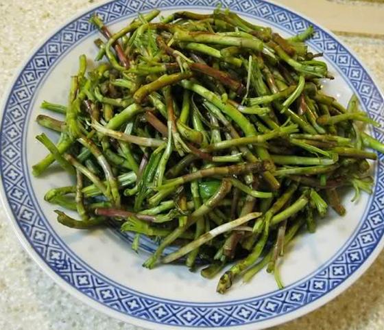 ޼�ﳴ���������