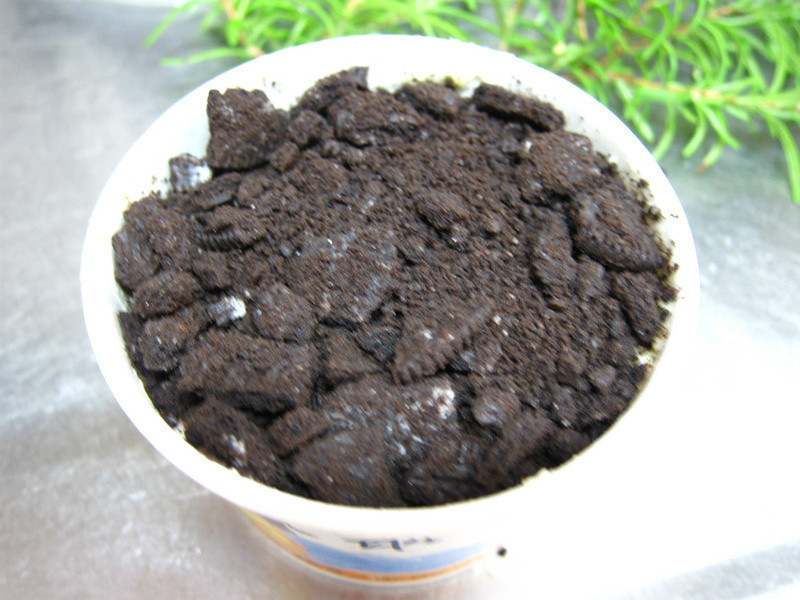 ����������ɳ��������