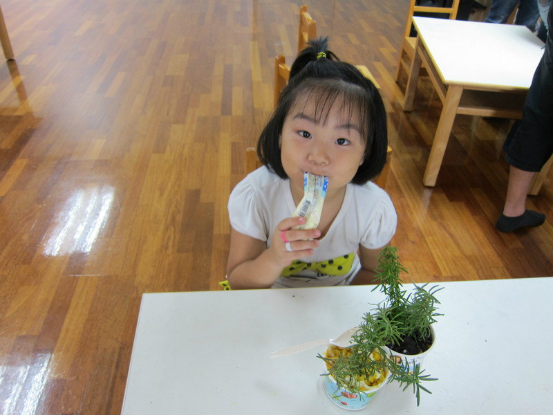 ����������ɳ��������