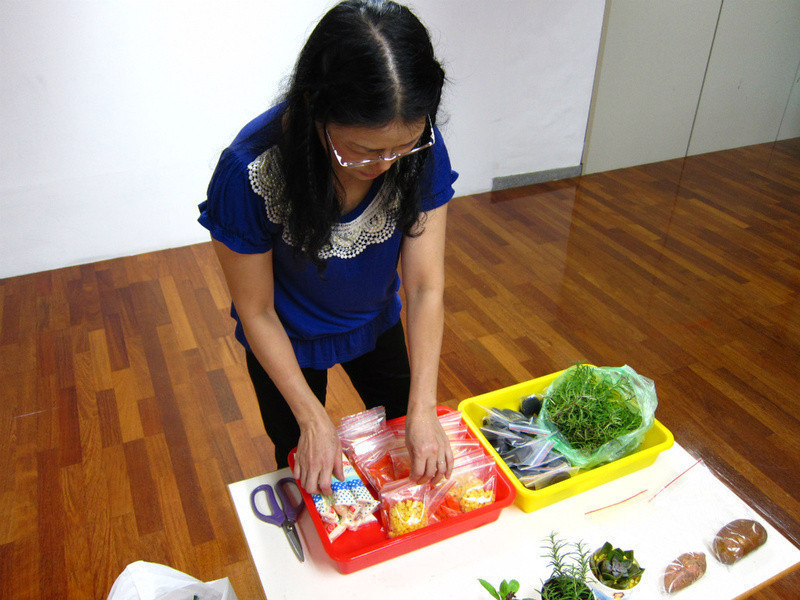 ����������ɳ��������