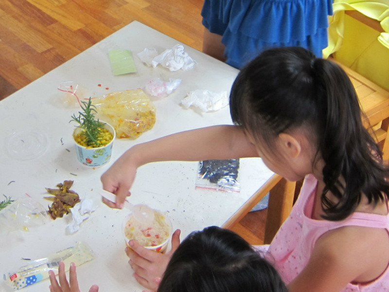 ����������ɳ��������