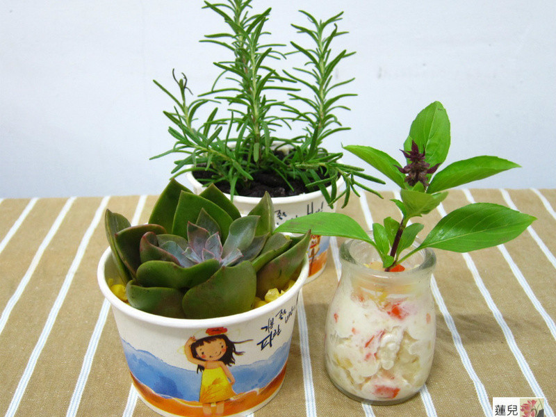 ����������ɳ��������