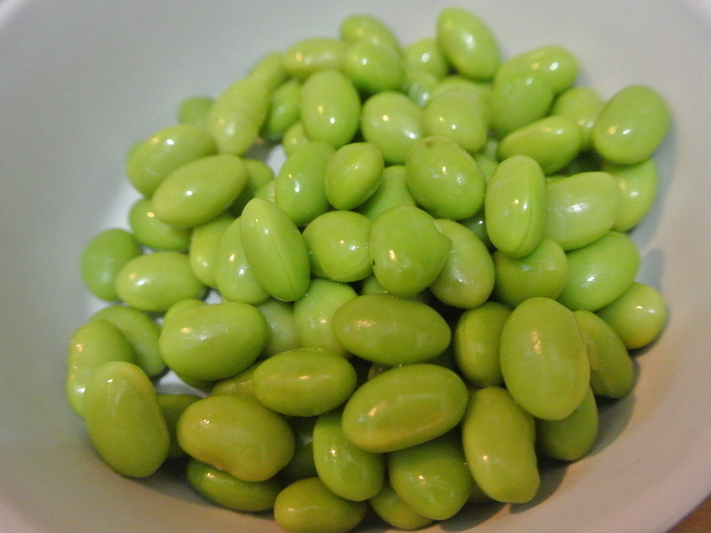 �����ɳ��ļ���У����ص�ɳ��������������