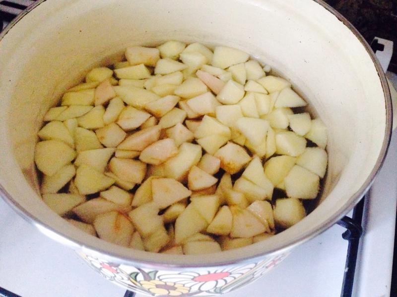 ��ʽ������1---ƻ����������������