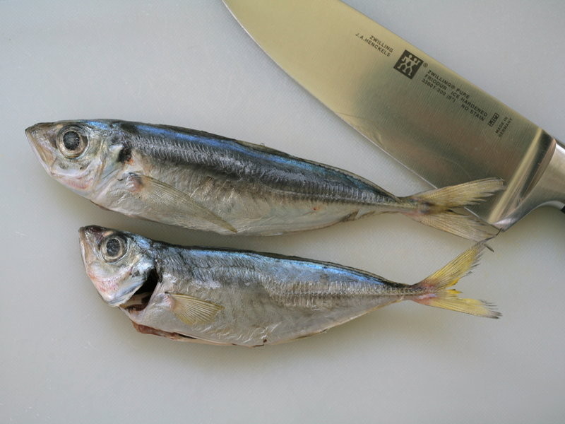 [С������ζʳ��] �����?��һҳ�� Tefal �ظ����ʵ��������