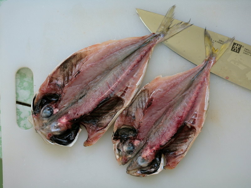 [С������ζʳ��] �����?��һҳ�� Tefal �ظ����ʵ��������