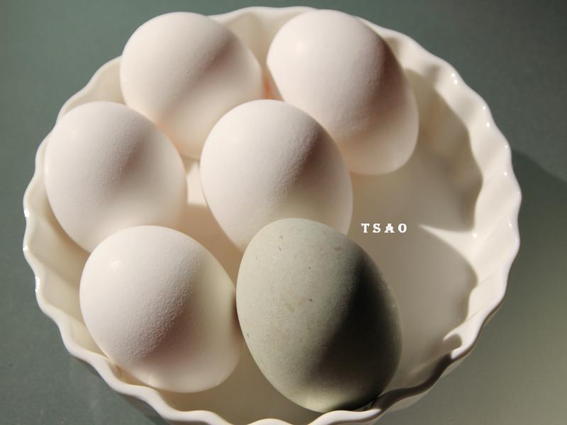 ��·�� ? �������Ҹ� ?������