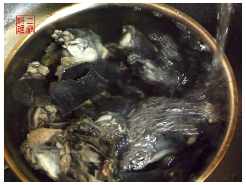 �㹽�ڹǼ���������