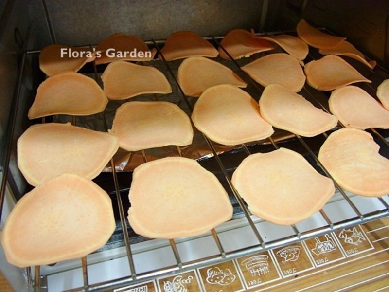 ����ը���ִ���Ƭ������