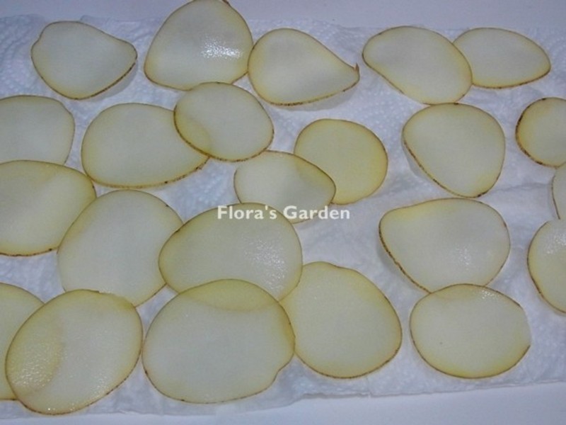 ����ը���ִ���Ƭ������