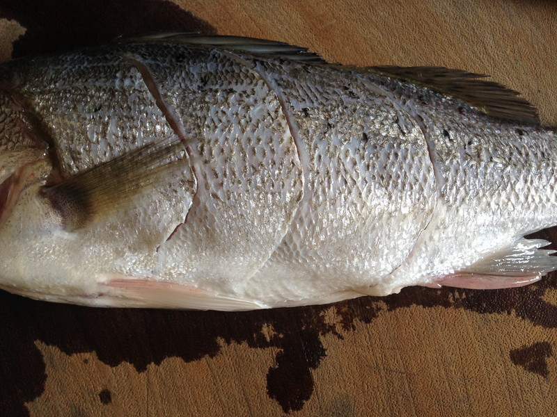 ���~�����ϲ�������