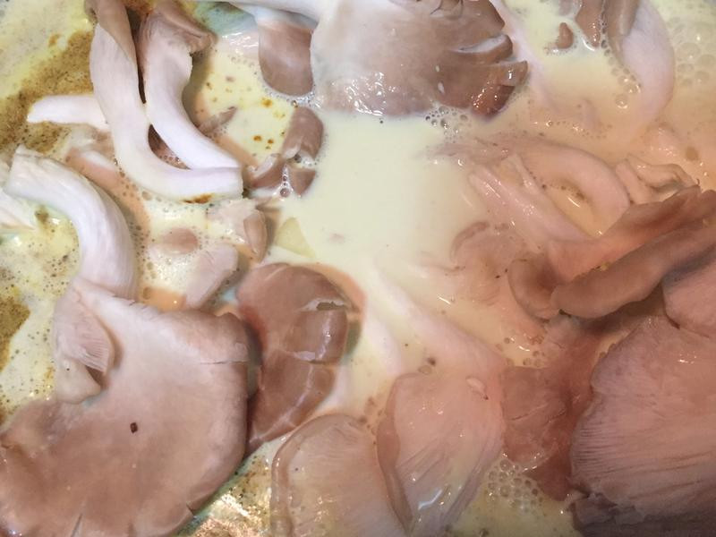 ����ţ�̹�����������