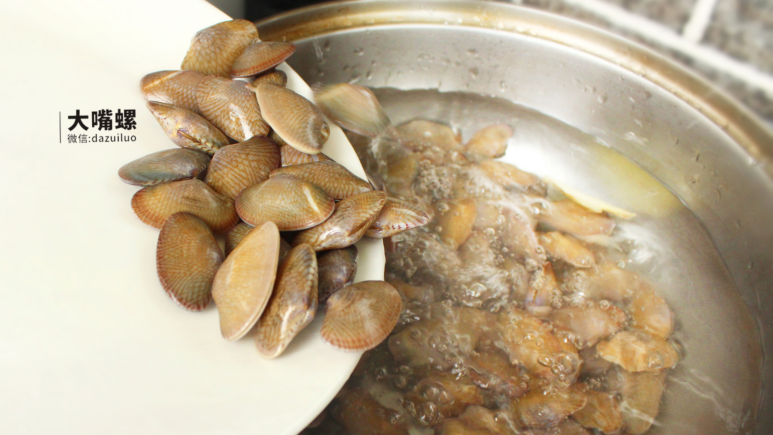 ��ˬ����Ѽ����ح�����ݵ�����