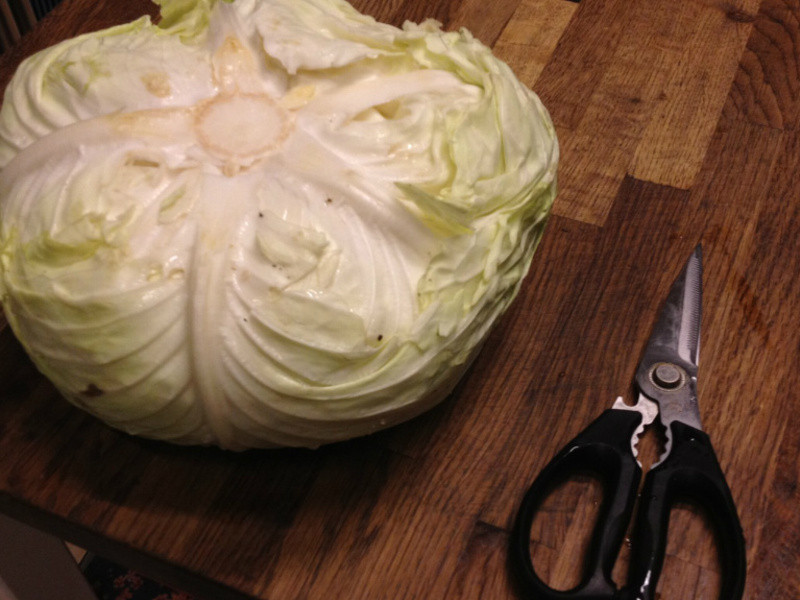 ��˫�ΰ�������������Ʒ���������ĸ����˾��ɵ�����