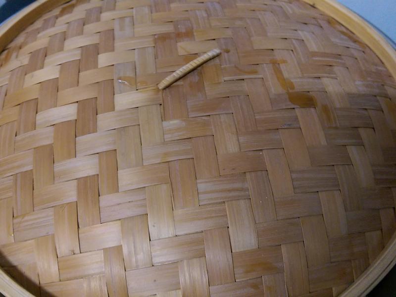 ���ˤη����Źǵ�����