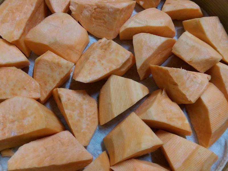 ���ˤη����Źǵ�����