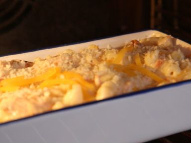 �h֥ʿ������ͨ�ķ۵�����