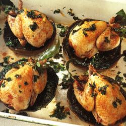 �������ȵ�����