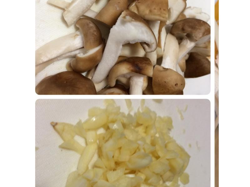 �㹽�������������