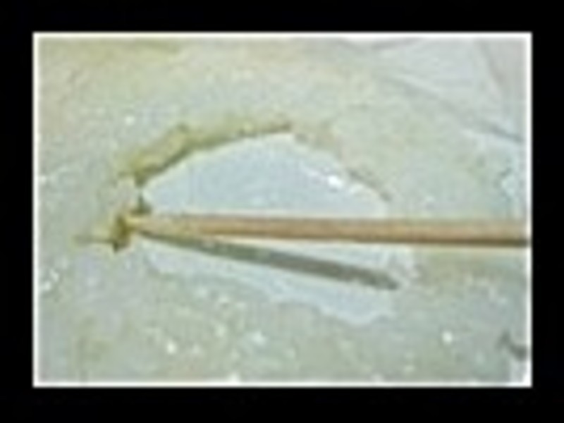 ʷŬ�������ű㵱������