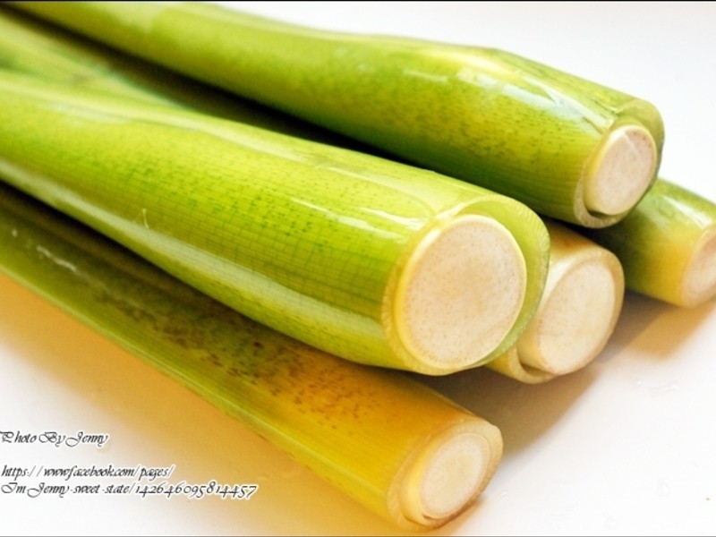 ����������(�R����)������