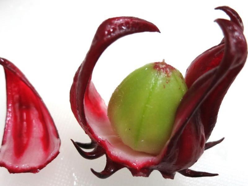 ��������������