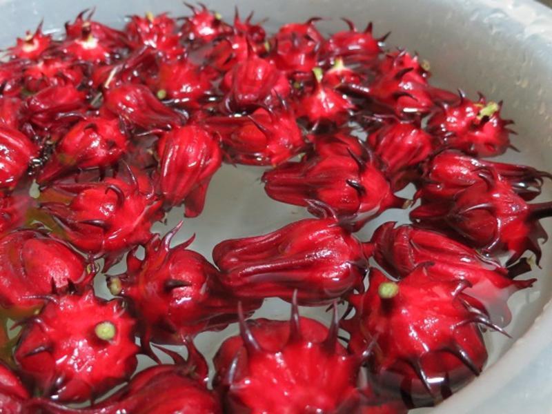 ��������������