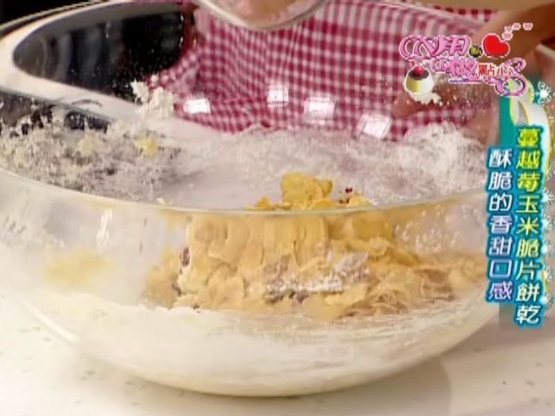 ��Խݮ��Ƭ���ɵ�����