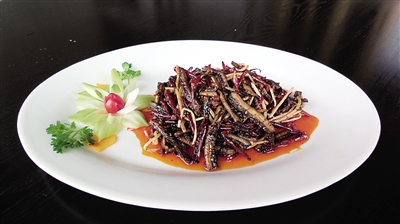 ����ˡ��������������