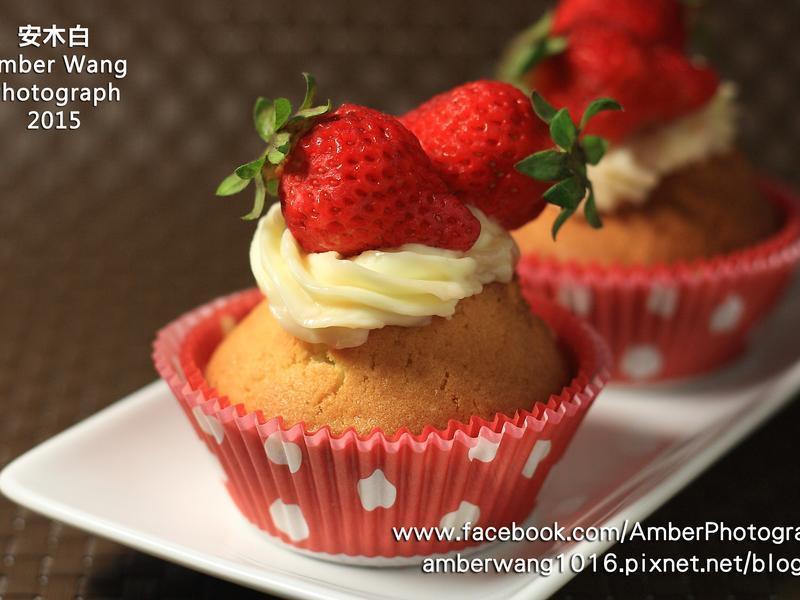 ��ݮ���ӵ��������