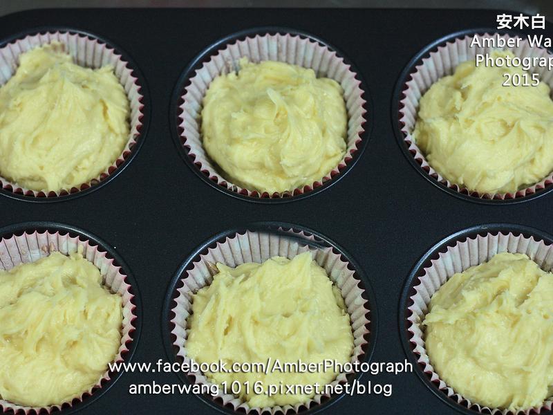 ��ݮ���ӵ��������