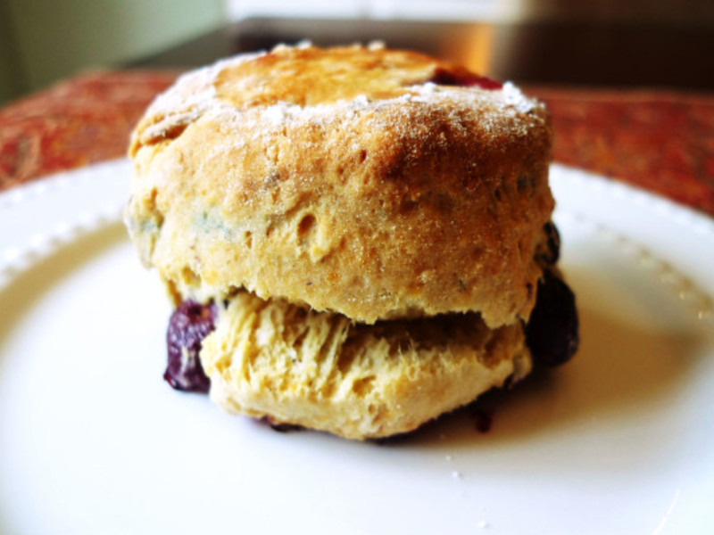 ������Ũ����ݮ˾��������