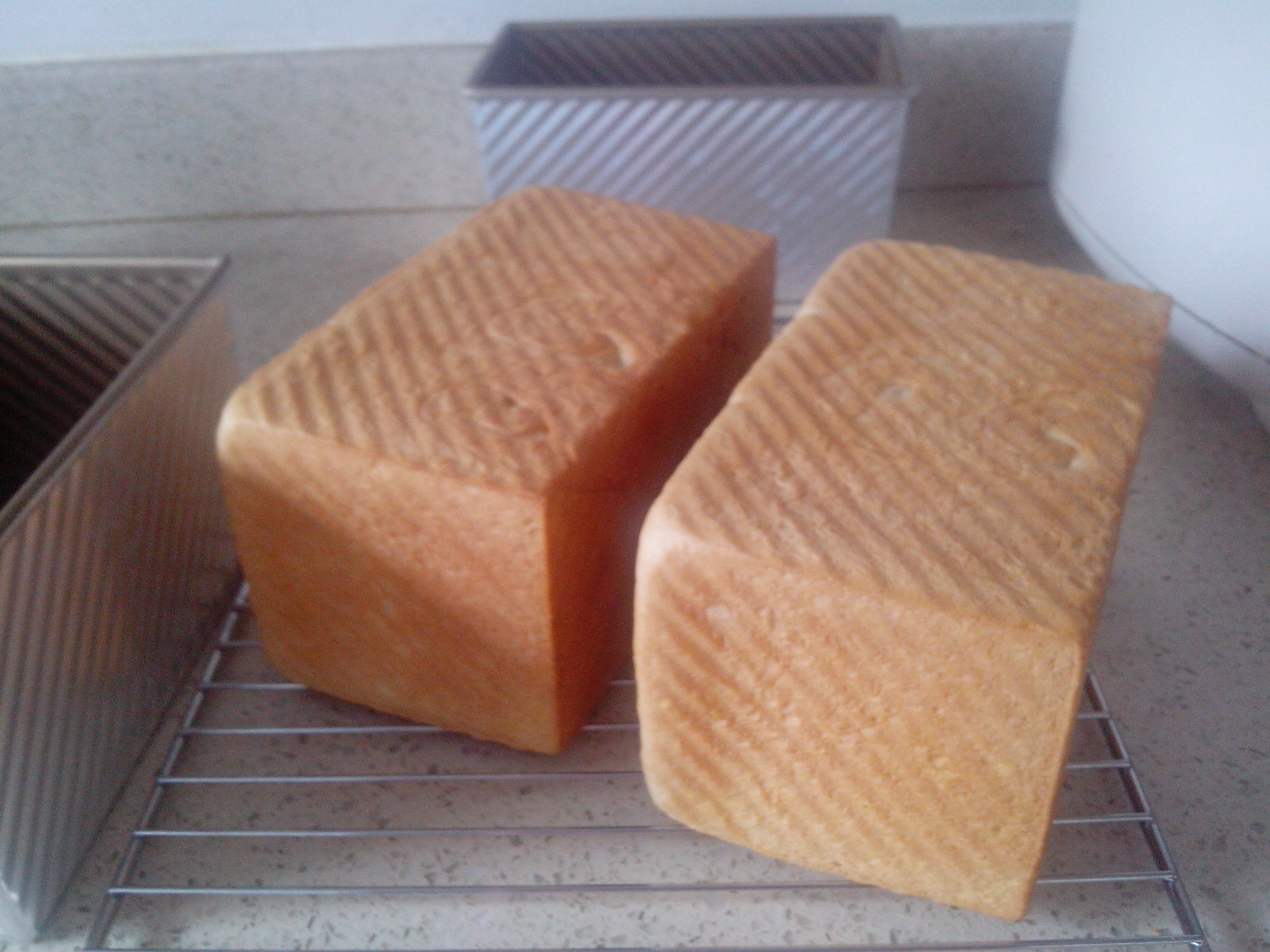 ��������˾�������֣�������