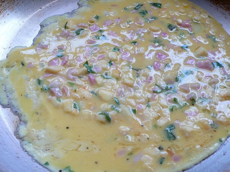 ��Ƶ���˾������