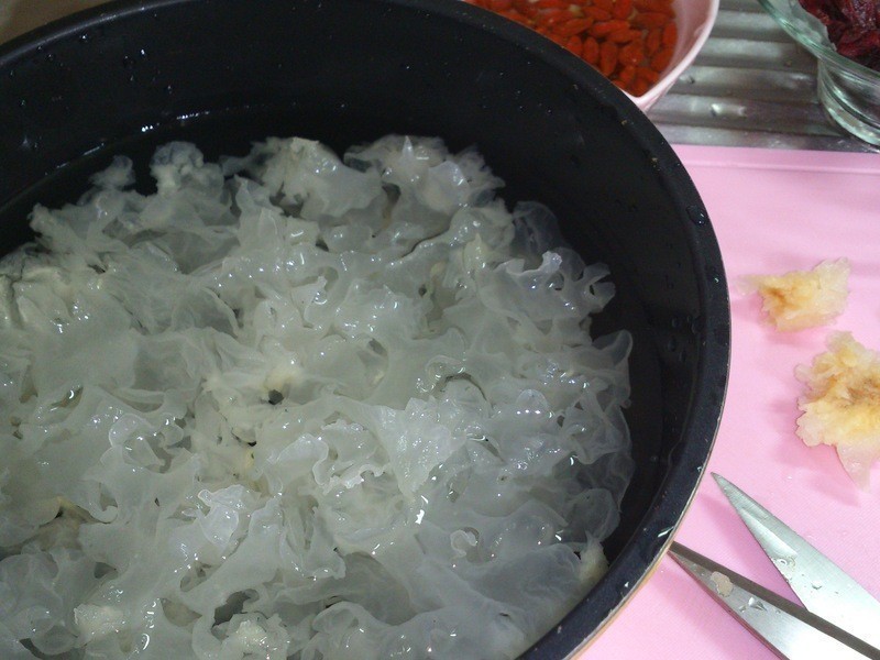 ����ѩ����������