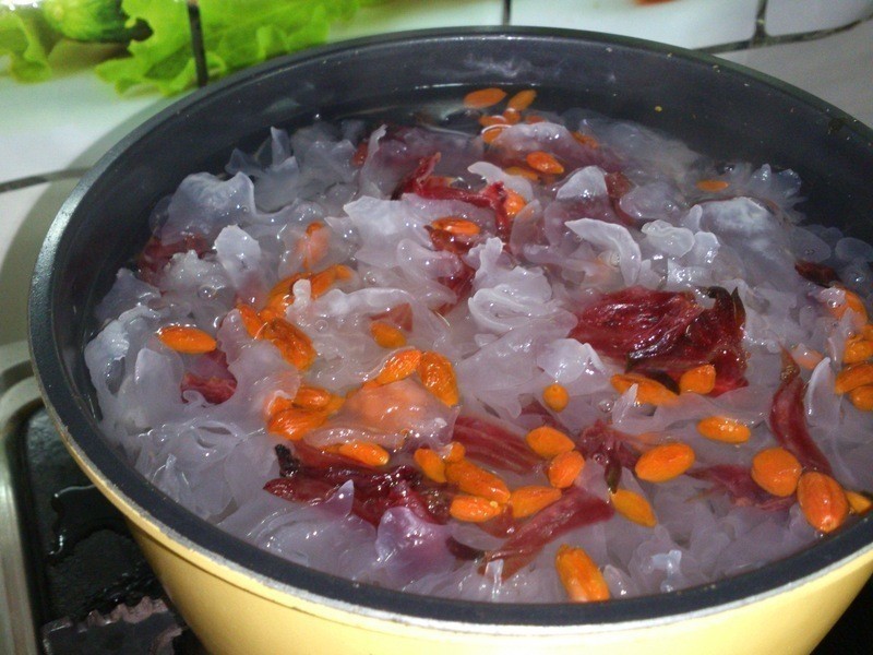 ����ѩ����������