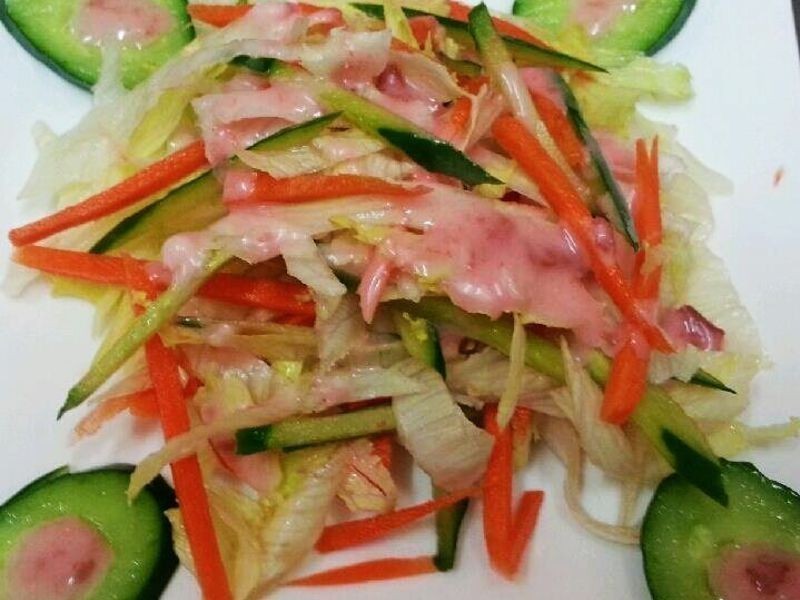 ����÷ɳ��������