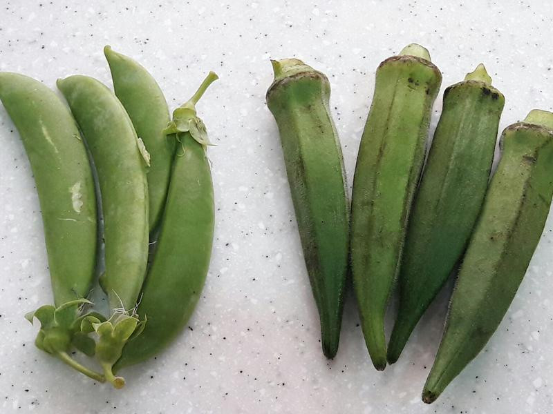 ����������������