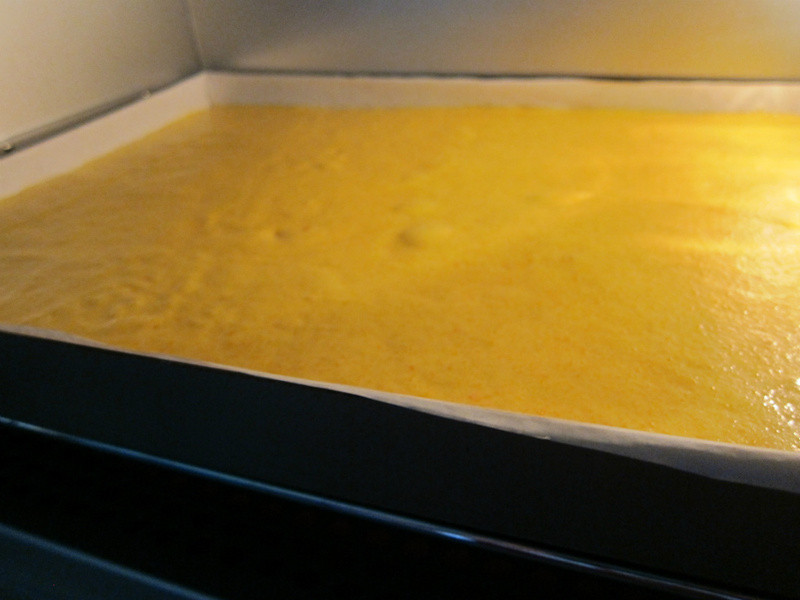 ���ܲ����ҵ����������