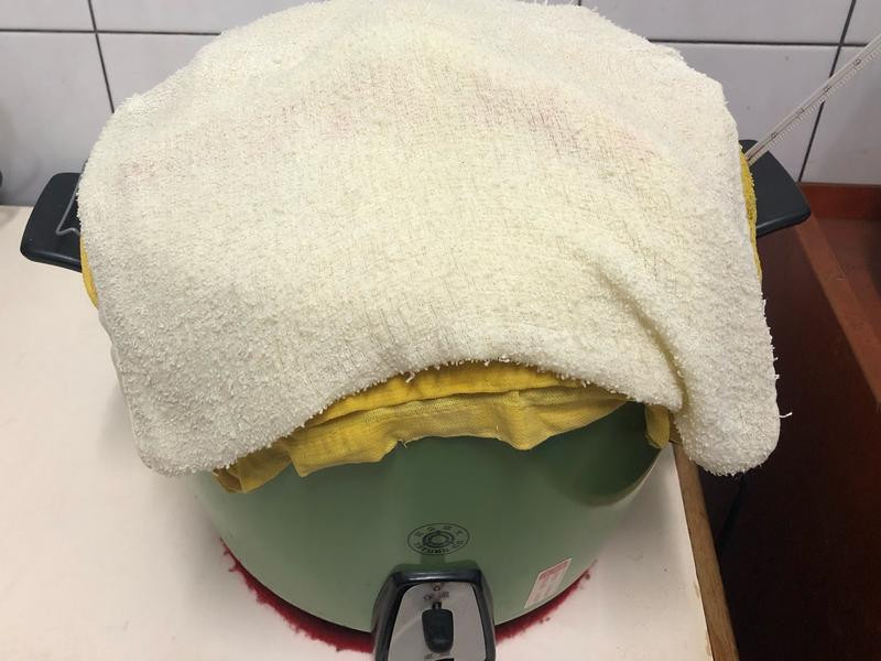 ���˵�����ţ�ŵ�����