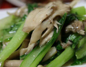 Ģ�������ĵ�����