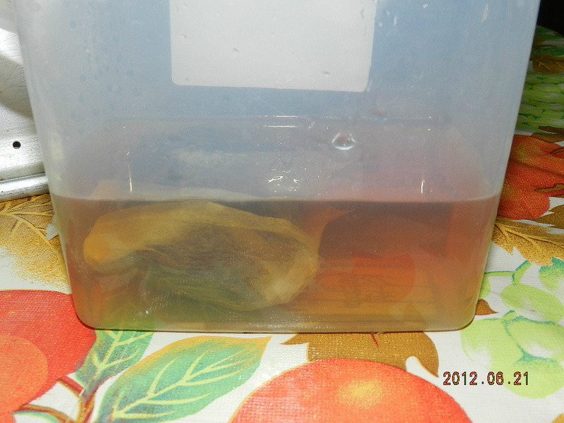 �̲�������������