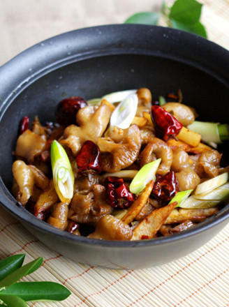 干锅肥肠的做法