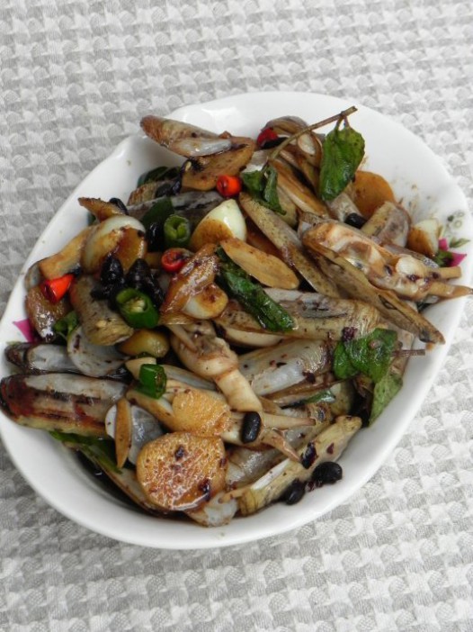 �����������ӵ�����