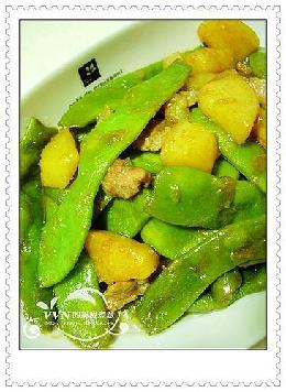 �Ͷ���������������