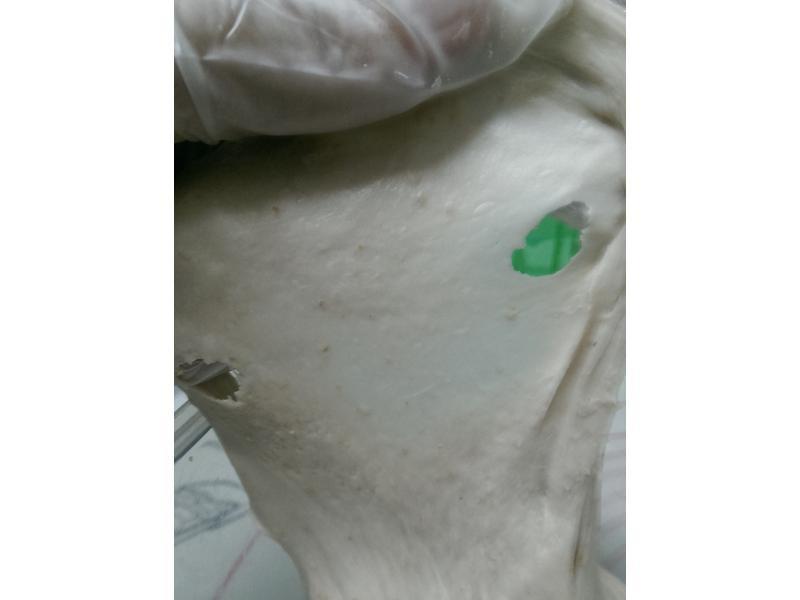 ��ƺ������������