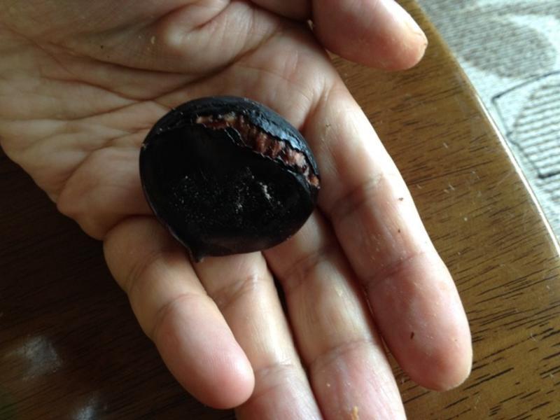 ���ӽ�����ȫ���ԣ�������