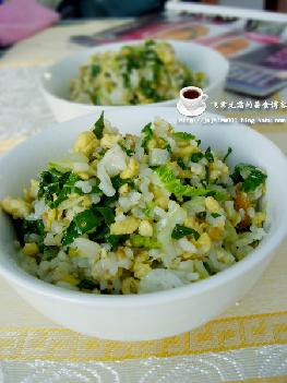 �˳���������