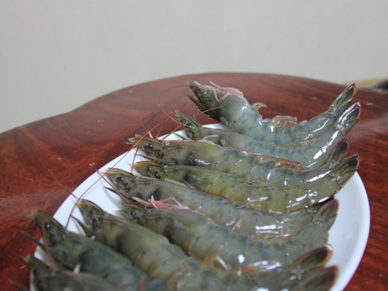 �����Ϻ������